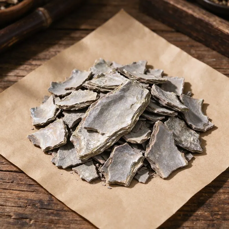Oyster Shell